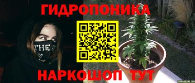 стафф Будённовск