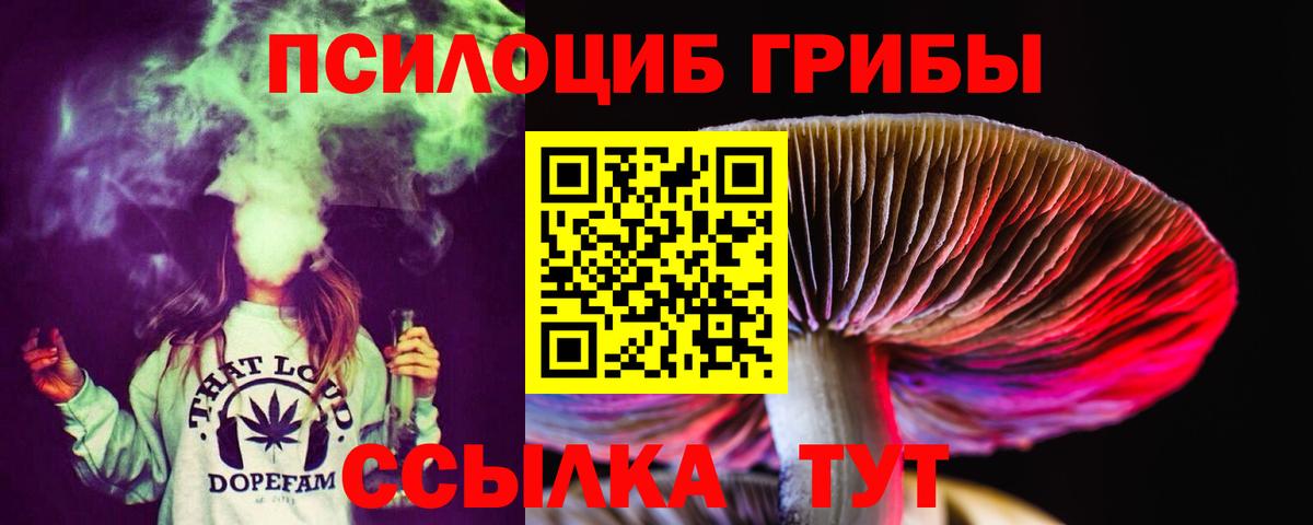 Псилоцибиновые грибы прущие грибы  Вход с VPN  Псилоцибиновые грибы прущие грибы  Прокопьевск 