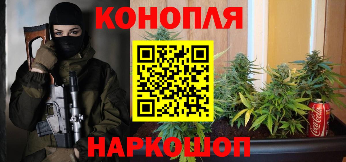 Канабис гибрид Прокопьевск